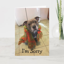 Cartão Pitbull Doghouse Eu sinto muito Card