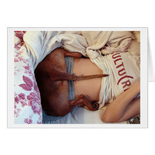 Cartão Pitbull sonolento parvo!