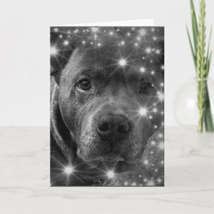 Cartão Pitbull Terrier Cinza com Brilhos Amante de Cachor