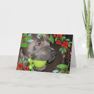 Cartão Pitbull Terrier Fofo com Moldura de Flor Vermelha