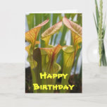 Cartão Pitcher Plant Carnivorous Birthday Card<br><div class="desc">Pitcher Plant Carnivorous Birthday Card</div>