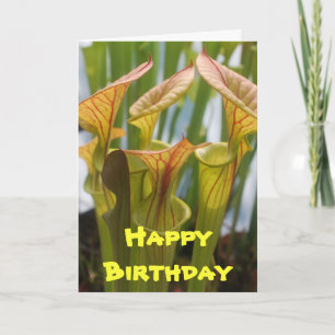 Cartão Pitcher Plant Carnivorous Birthday Card