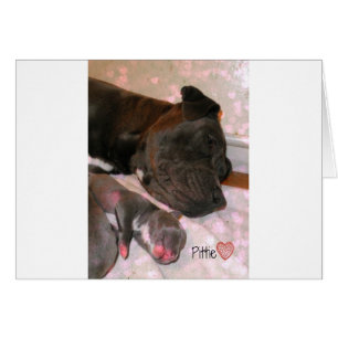 Cartão Pittie Love