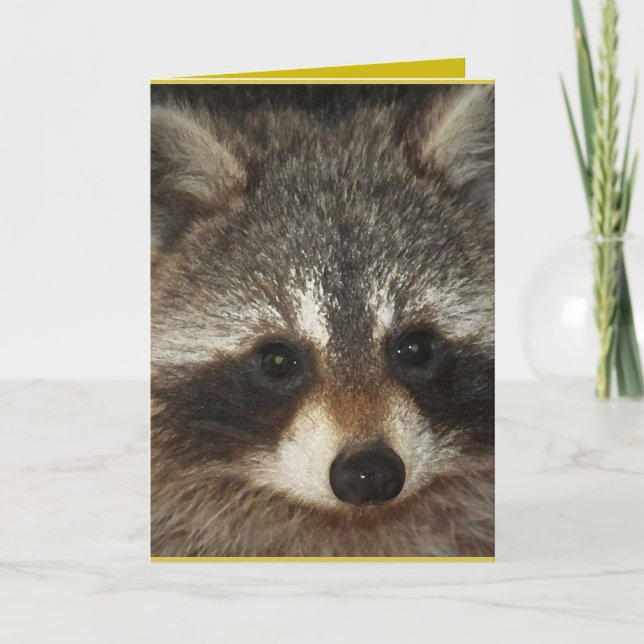 Cartão Pixie; one remarkable raccoon full of kindness. (Frente)