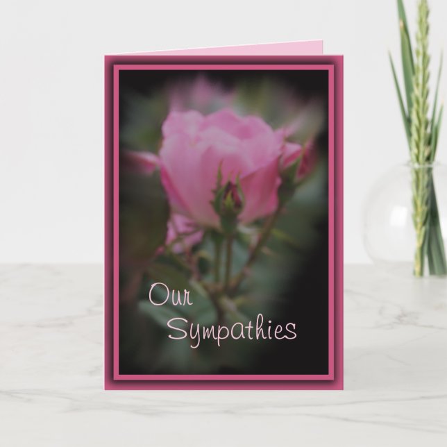 Cartão Pk Knockout Rose Sympathy - personalize qualquer o (Frente)