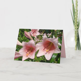 Cartão Pk Trumpet Lily #3 - personalize qualquer ocasião