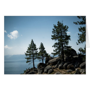 Cartão Placa Advantage