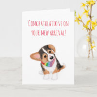Placa arco-íris para novos parabéns de cachorrinho
