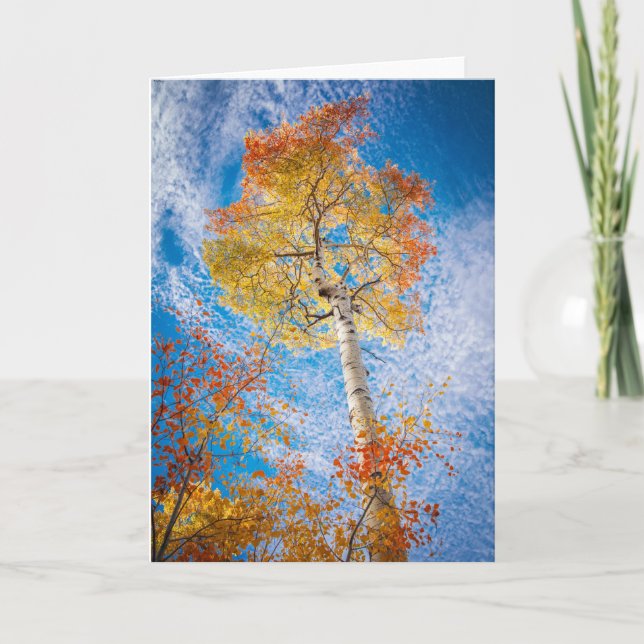 Cartão Placa Aspen, Dentro do Vazio (Frente)