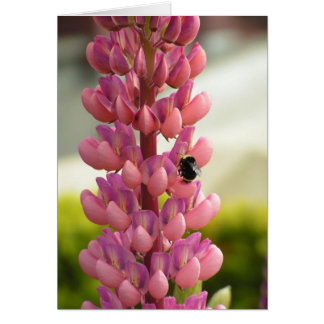 Cartão Placa Bee 5x7