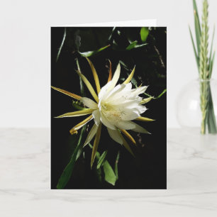 Cartão Placa Bloom Cactus