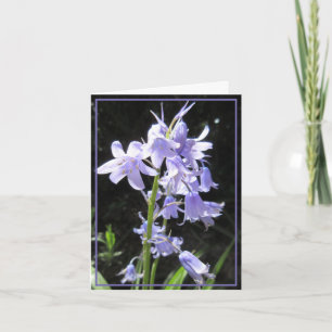 Cartão Placa Bluebells