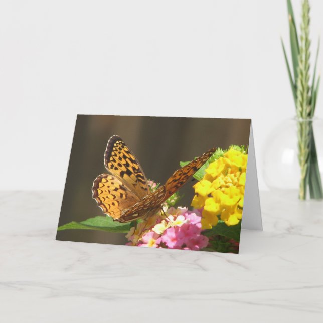 Cartão Placa borboleta (Frente)