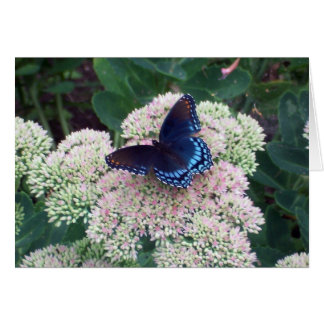 Cartão Placa borboleta - dentro de Vazio