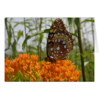 Cartão Placa borboleta (Vazio no Dentro)