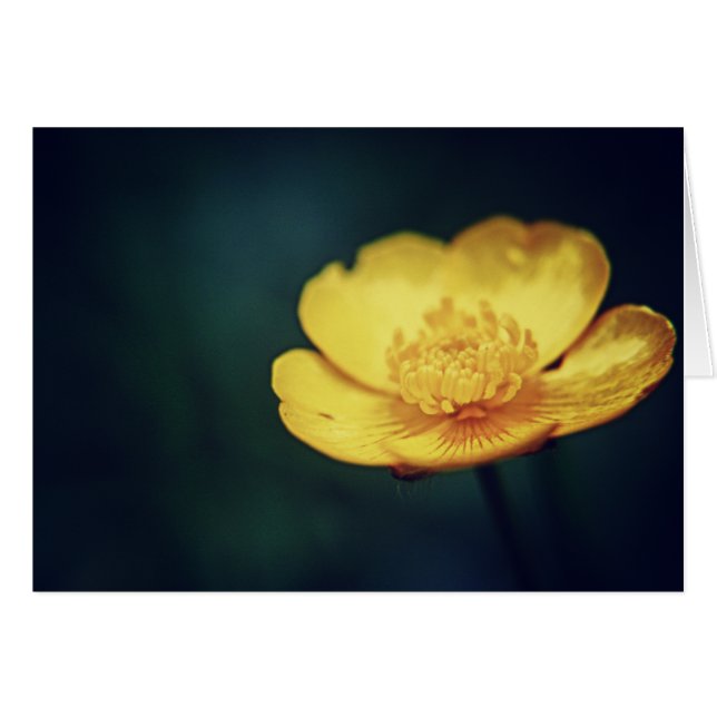 Cartão Placa Buttercamp (Frente Horizontal)