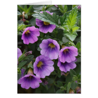 Cartão Placa Capra 003 A