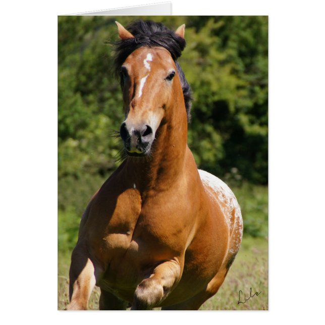 Cartão Placa Celtic Flame (Frente)