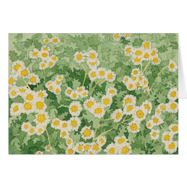 Cartão Placa Chamomiles (Frente horizontal)