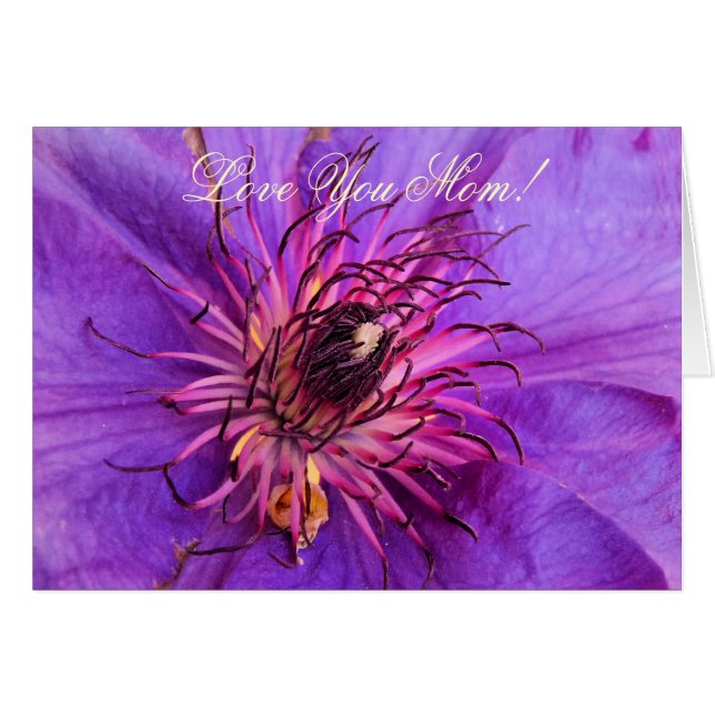 CARTÃO PLACA CLEMATIS GRETTINGS (Frente Horizontal)