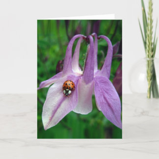 Cartão Placa Columbine 2