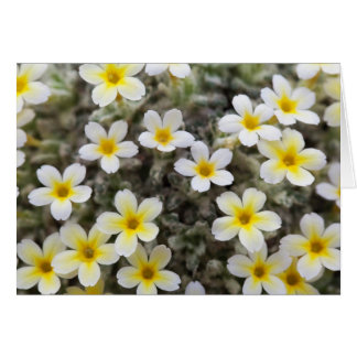 Cartão Placa com Flores