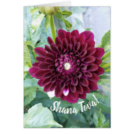 Cartão Placa Dahlia Roxo Profundo Rosh Hashanah