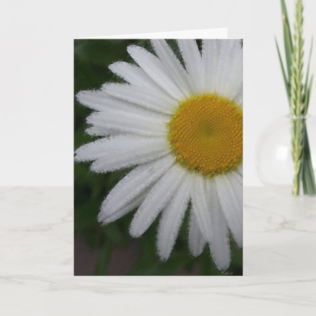Cartão Placa Daisy (soft sketch) (Frente)