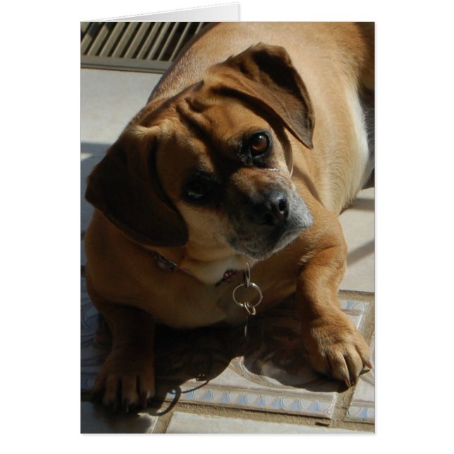 Cartão Placa de abertura 167 (Frente)