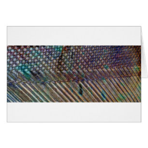 Cartão Placa de Abstrato de Cinza Escura