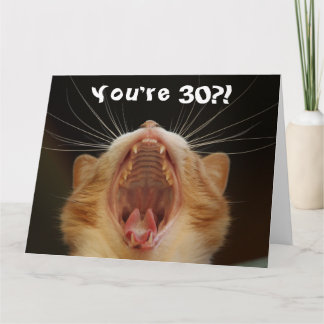 Cartão Placa de aniversário de 30 anos Feliz Gato Engraça