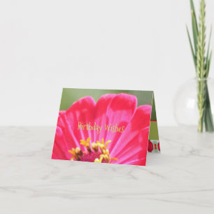 Cartão Placa de aniversário doce de Flor Zinnia rosa