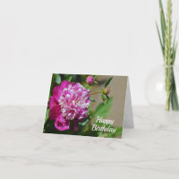 Placa de Aniversário Feliz da Flor de Algodão Rosa