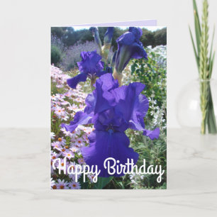 Cartão Placa de Aniversário Floral da Flor Roxo Iris Glo