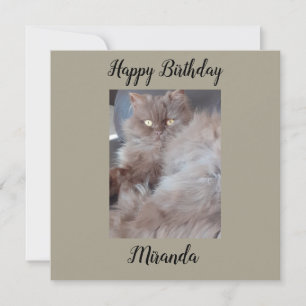 Cartão Placa de Aniversário Plana de Cat fofinho
