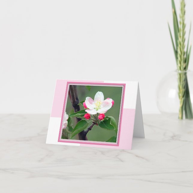 Cartão Placa de anotação de Primavera de Flor de Maçã (Frente)