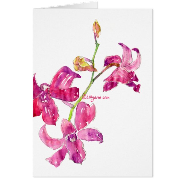 Cartão Placa de Aquarela Dendrobium Orchids Rosa (Frente)