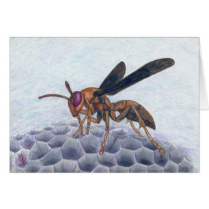 Cartão Placa de Arte Wasp de Papel