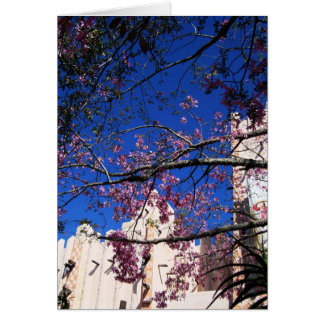 Cartão Placa de árvore de flores rosa