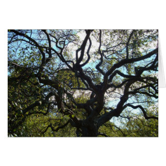 Cartão Placa de Árvore de Vida