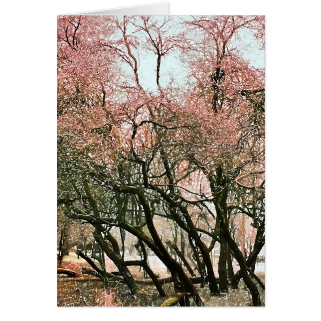 CARTÃO PLACA DE ÁRVORES (Frente)