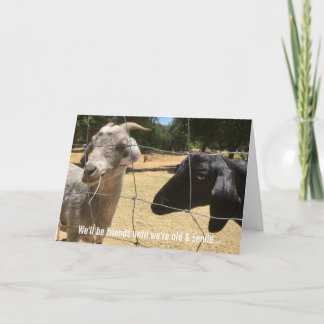 Cartão Placa de Bobo Amigos para Sempre