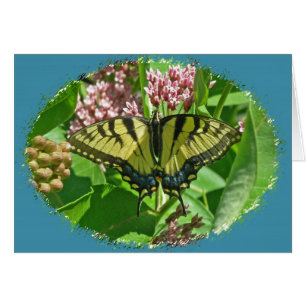 Cartão Placa de Borboleta de Swallowtail de Tigre Orienta