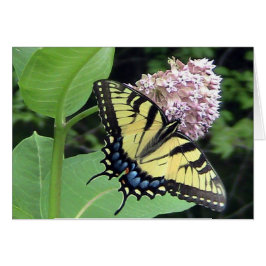 Cartão Placa de borboleta ( Modelo) amarela