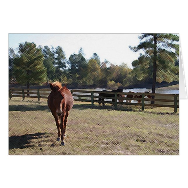 Cartão Placa de Cápsula Sissy (Frente Horizontal)