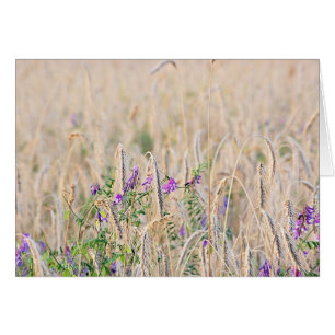 Cartão Placa de Cinza Crescente