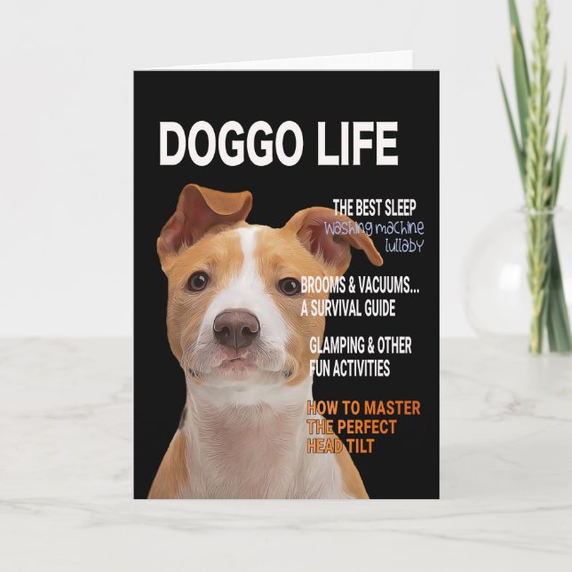 Cartão Placa de Cobrir da Pitbull Parody Magazine (Frente)