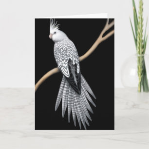 Cartão Placa de Cockatiel com Pérolas Brancas