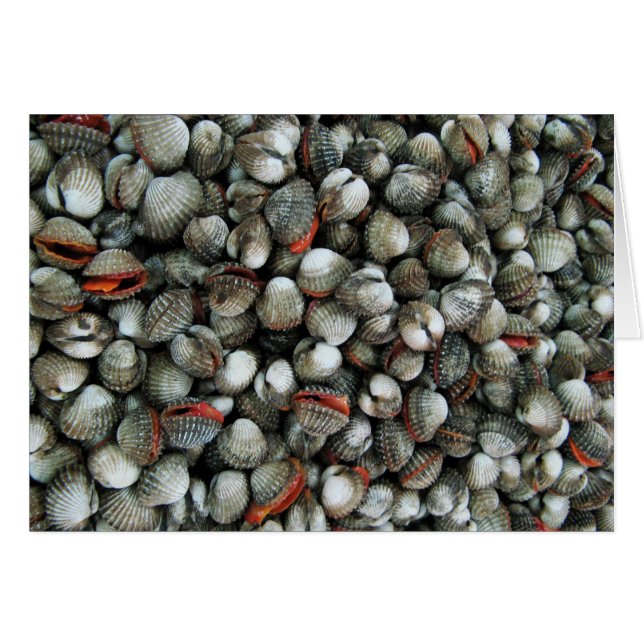 Cartão Placa de Conchas de Cockle Sanguíneo (Frente Horizontal)