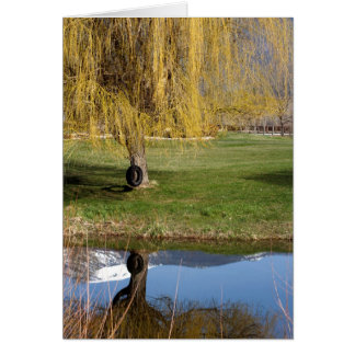 Cartão Placa de conforto de pond primavera